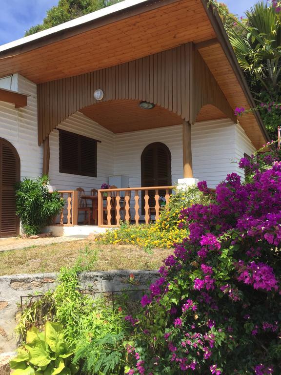 Le Grand Bleu Villas Baie Sainte Anne Luaran gambar